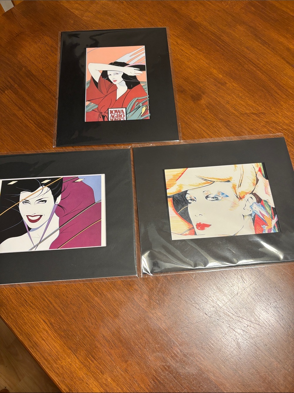 Set of 3 Patrick Nagel Art Prints Mounted & Matted 8x10